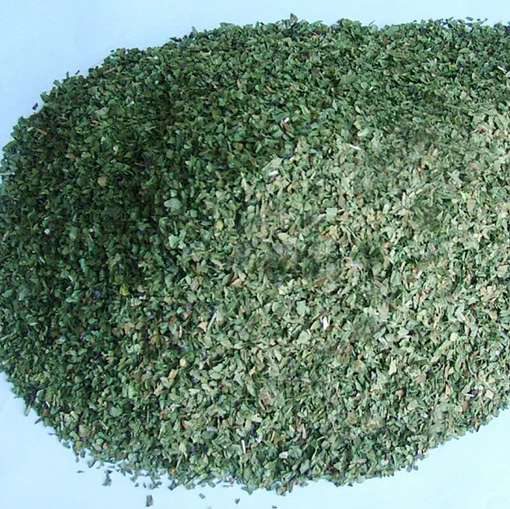 Spearmint