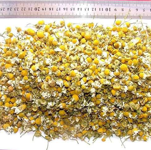 Chamomile Flowers
