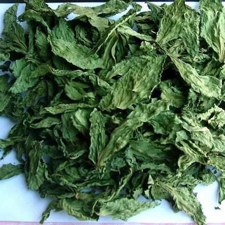 Molokhia Whole Leaves