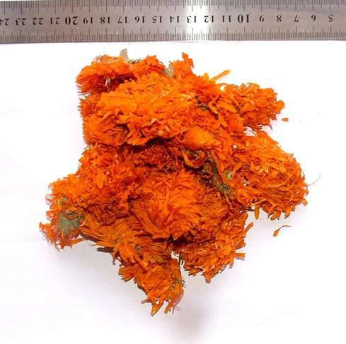 Calendula Flowers