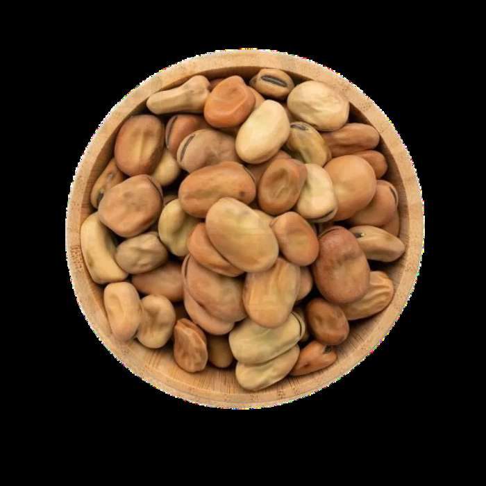 Fava Beans