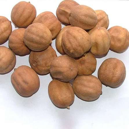 Dried Yellow Lemon