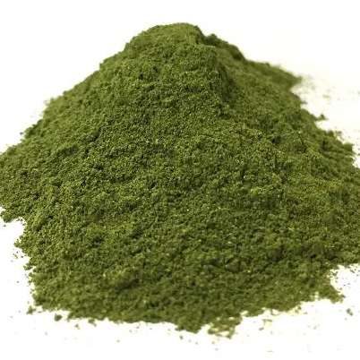 Coriander Leaf Powder