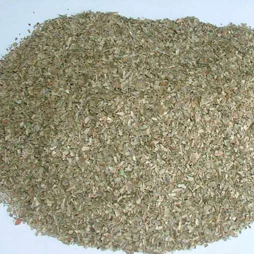 Oregano