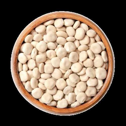 Lupin Beans