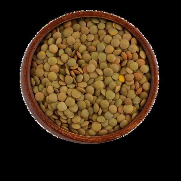 Green Lentils