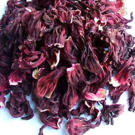 Hibiscus Flower