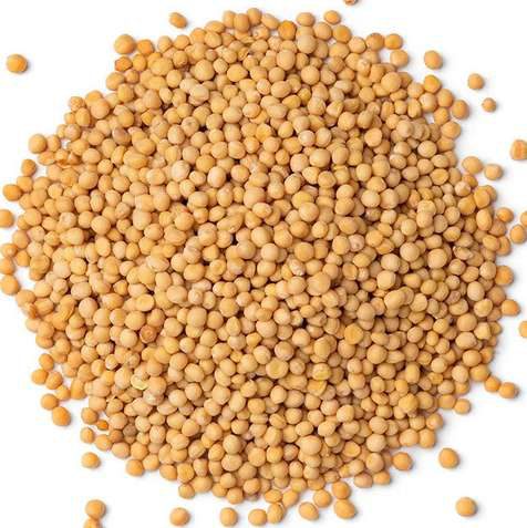 Mustard Seeds