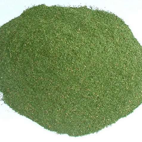 Dill Leaves