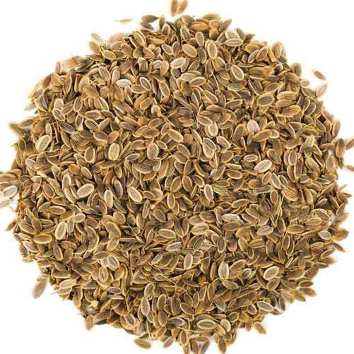 Dill Seeds