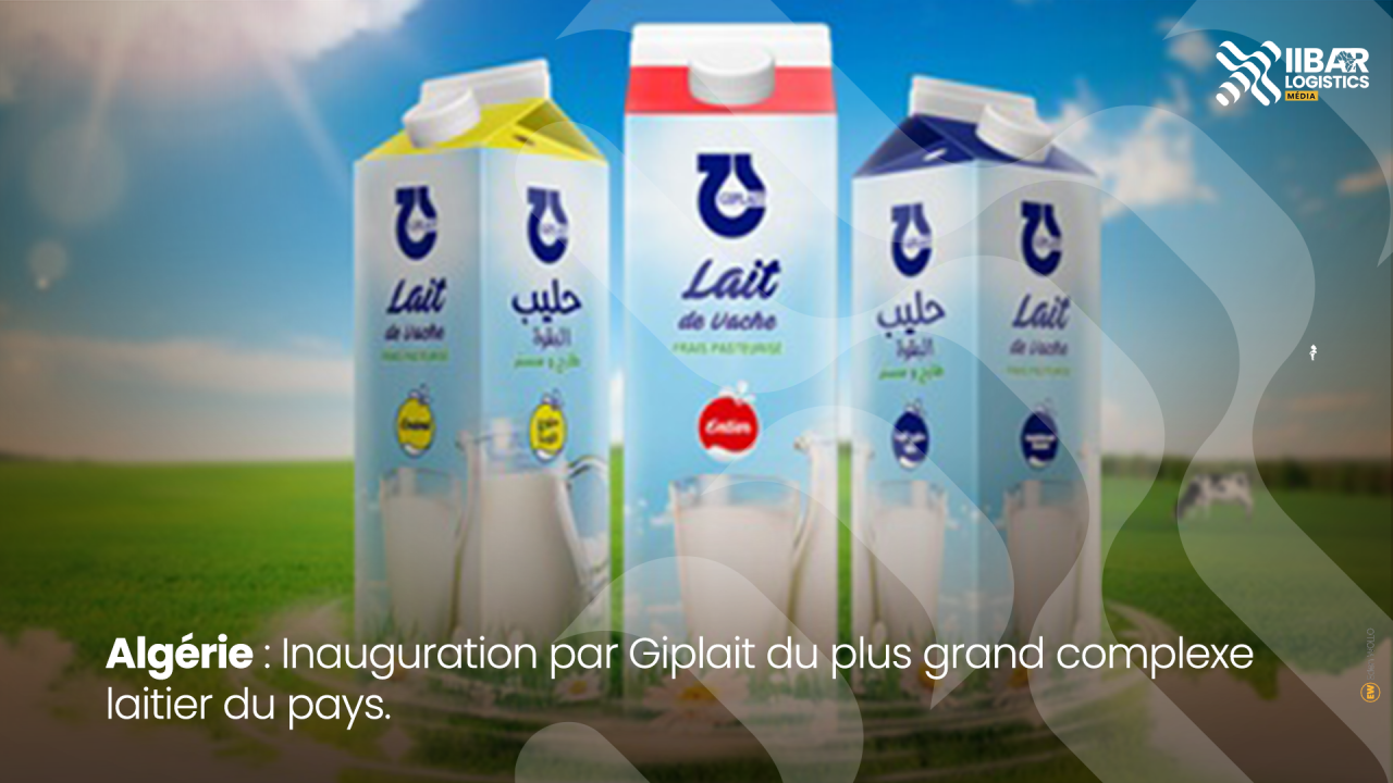 BIO-Certified Organic Dairy Products | Algeria B2B Supply